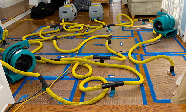Professional Structural Drying And Dehumidification technician working in Grand Ledge, MI